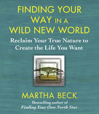 Finding Your Way in a Wild New World